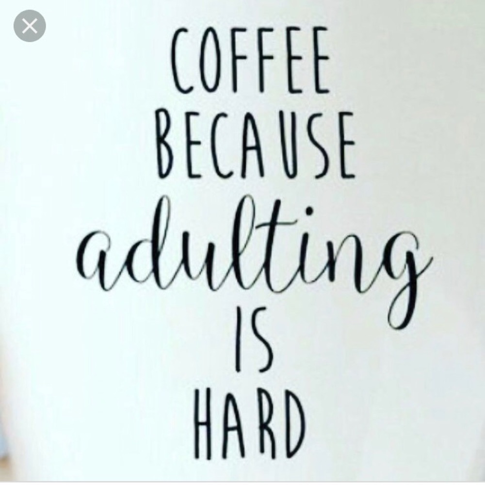 Meet your Posher, Terra